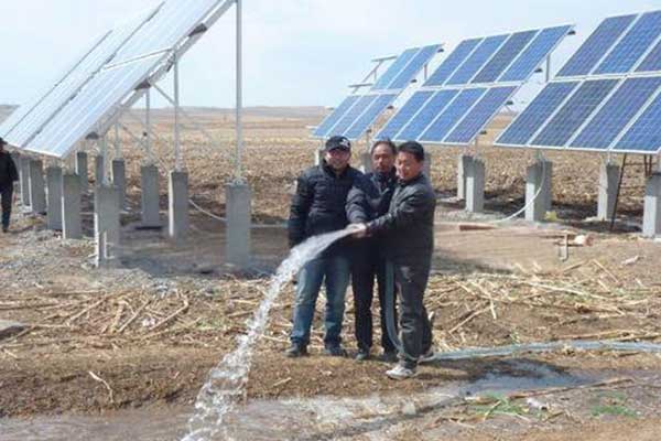 Key Factors to Consider When Buying a Solar Water Pump
